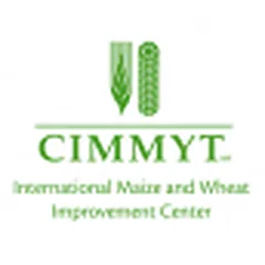 International Maize and Wheat Improvement Center (CIMMYT) logo