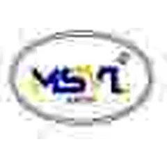 MSVL Group logo