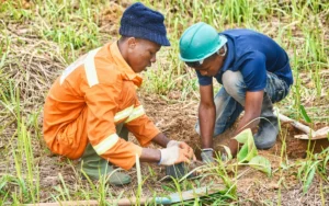 ACU King’s Commonwealth Fellowship Programme Climate Resilience Fellowships 2026/2027 (Fully Funded)