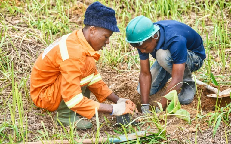 ACU King’s Commonwealth Fellowship Programme Climate Resilience Fellowships 2026/2027 (Fully Funded)