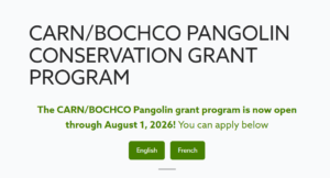 CARN/Bochco Pangolin Conservation Grant Program 2026 (With up to USD 10,000)