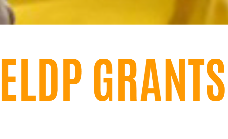 Endangered Languages Documentation Programme (ELDP) - Legacy Materials Grant 2026 (With Up to €10,000 in Funding)