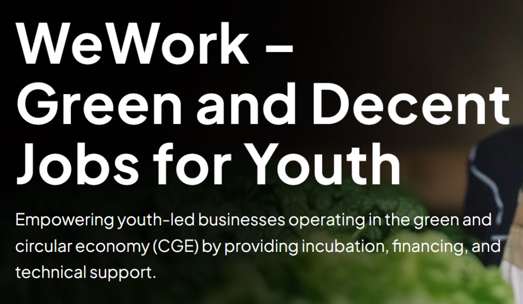 StartHub Africa - WeWork Green and Decent Jobs for Youth Programme 2026