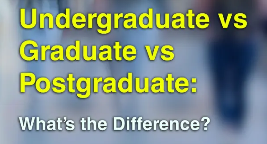 Undergraduate vs Graduate vs Postgraduate: Key Differences Explained