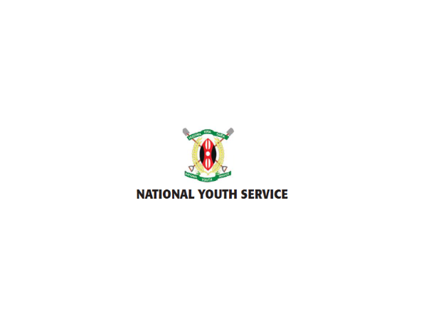 NYS Recruitment 2026: Requirements, Application Portal & How to Apply