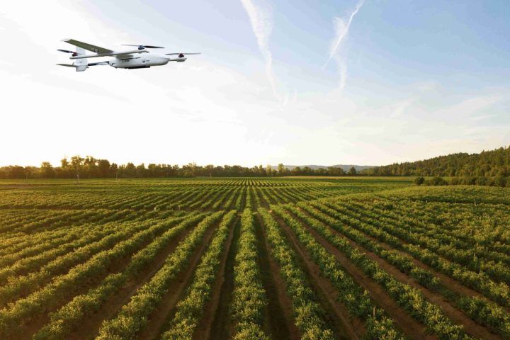 Agri-Business Innovation Fellowship 2027