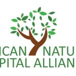 African Natural Capital Alliance Nature Executive Fellowship 2027; How to Apply