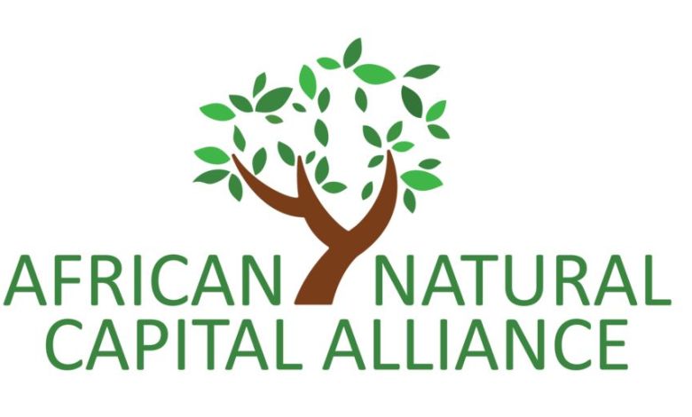 African Natural Capital Alliance Nature Executive Fellowship 2027; How to Apply
