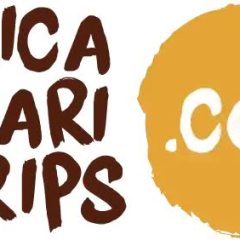 Africa Safari Trips logo