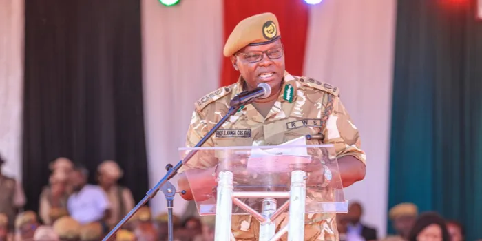 Kenya Launches Ksh20.8 Billion Conservation Programme, Targets 22,800 Jobs